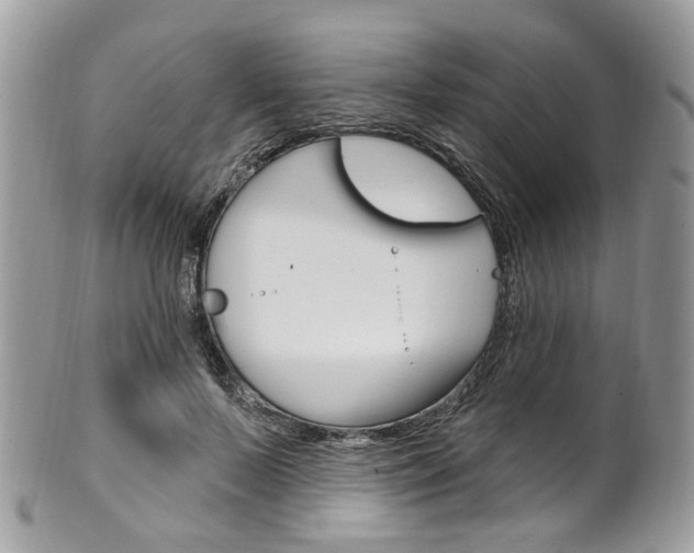 X0000101420695200807071032