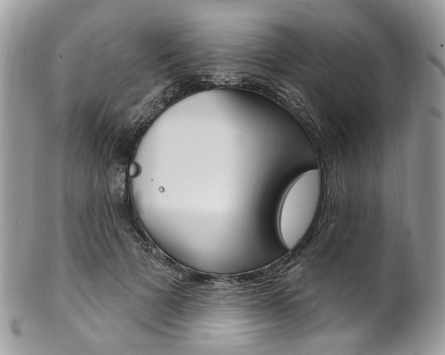 X0000101420697200807071032