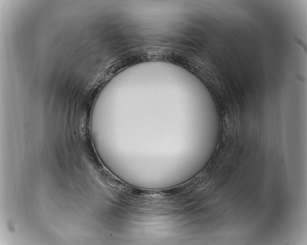 X0000101420698200807071031