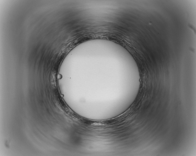 X0000101420699200807071031