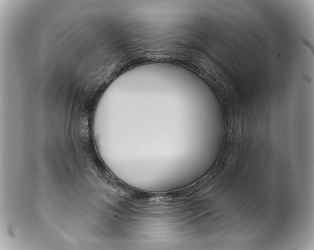 X0000101420700200807071031
