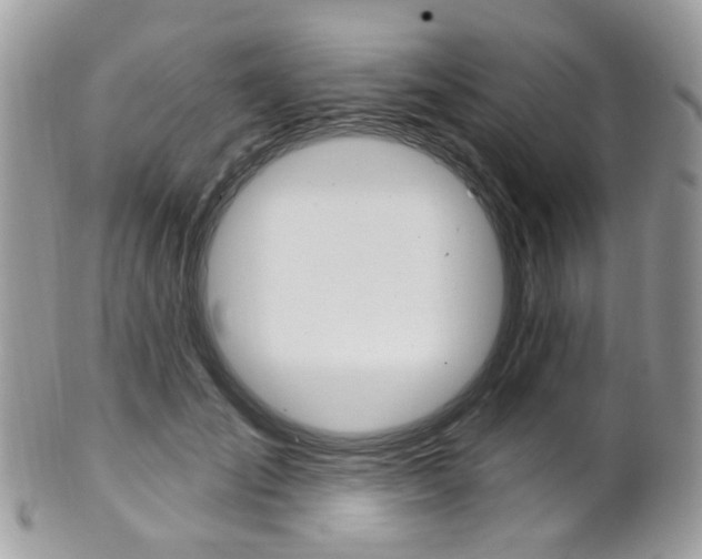 X0000101420701200807071031