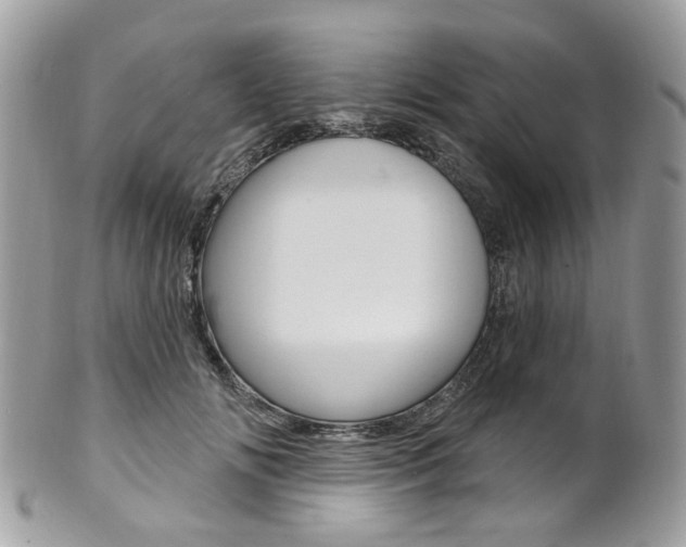 X0000101420702200807071031