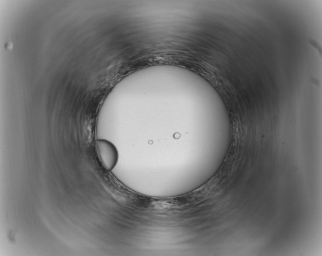 X0000101420703200807071031