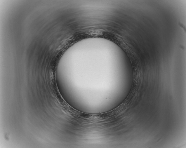 X0000101420704200807071031