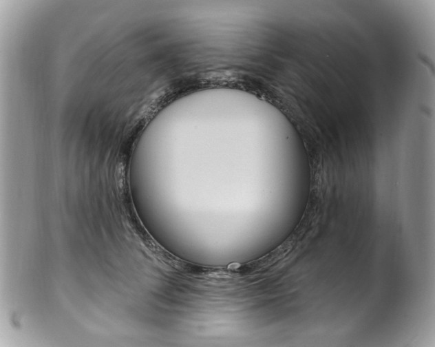 X0000101420708200807071031