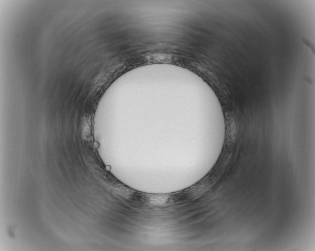 X0000101420709200807071031