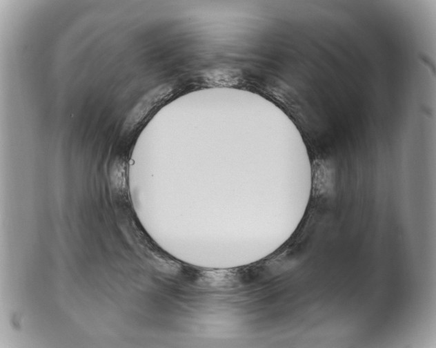 X0000101420713200807071031