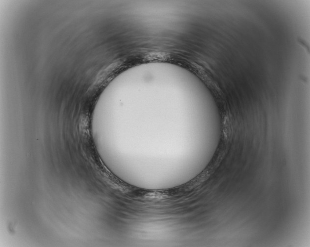X0000101420714200807071031