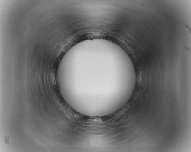 X0000101420715200807071031
