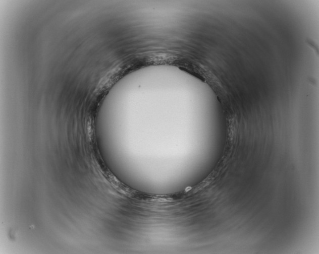X0000101420716200807071031