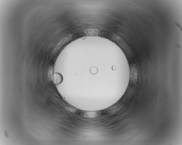 X0000101420717200807071031