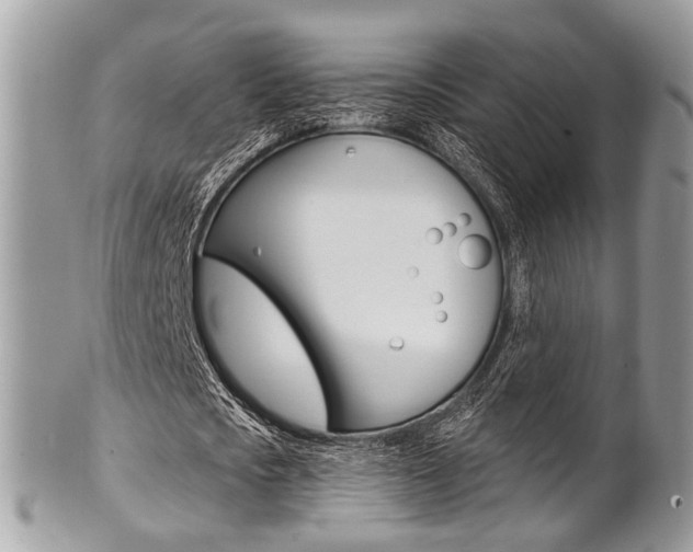 X0000101420721200807071030