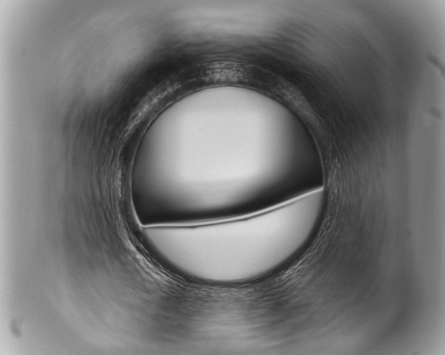 X0000101420722200807071030