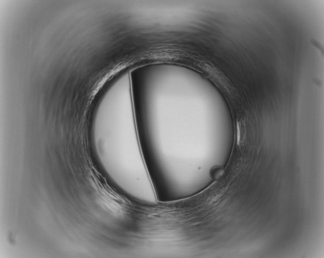 X0000101420723200807071030