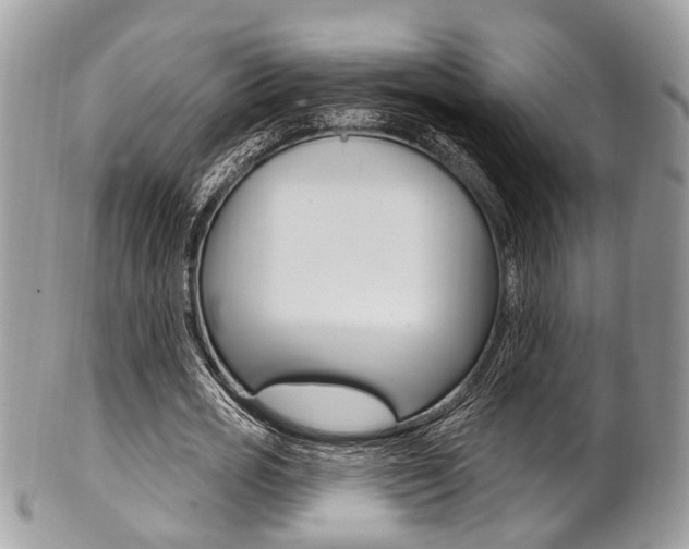 X0000101420725200807071030