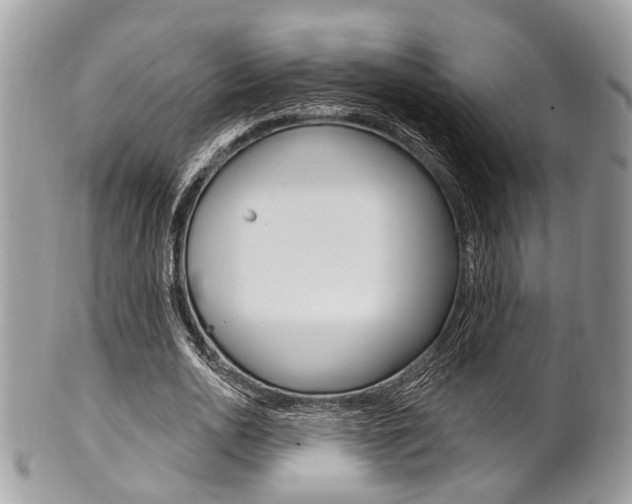 X0000101420726200807071030
