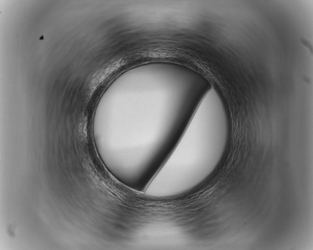 X0000101420727200807071030