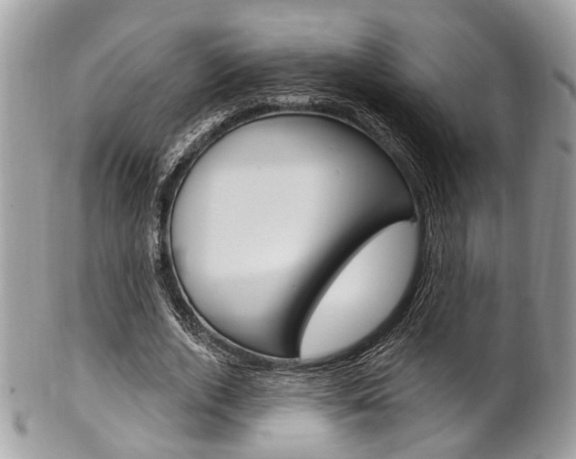 X0000101420728200807071030