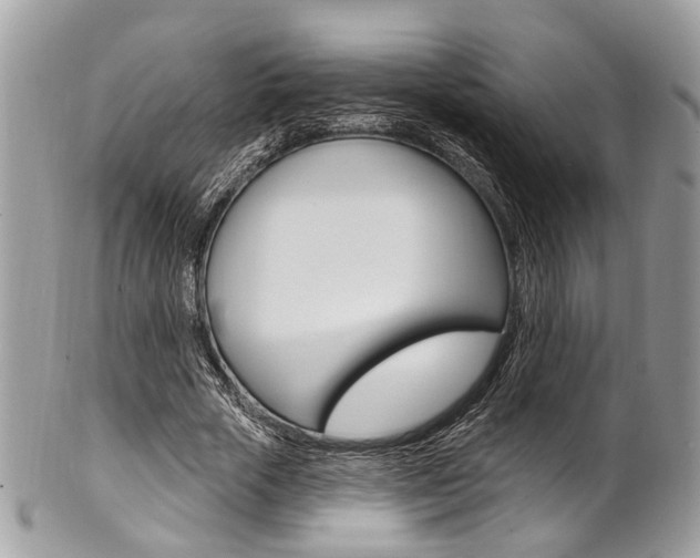 X0000101420729200807071030