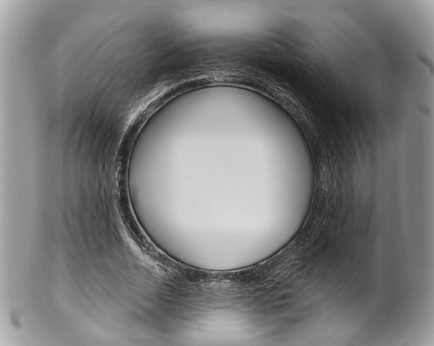 X0000101420730200807071030