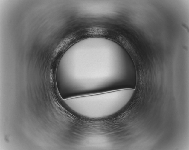 X0000101420731200807071030