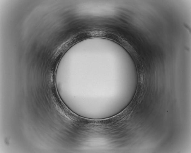 X0000101420733200807071031