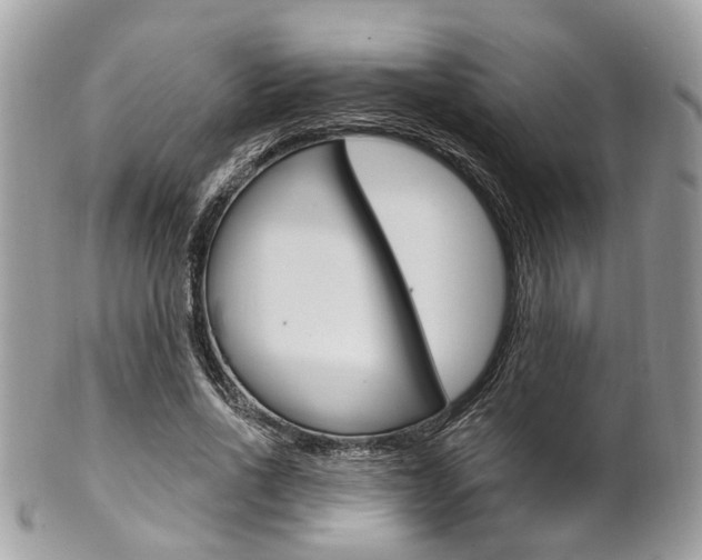 X0000101420734200807071031