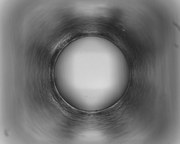 X0000101420735200807071031
