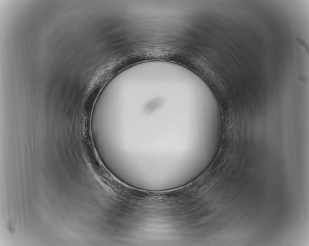 X0000101420736200807071031