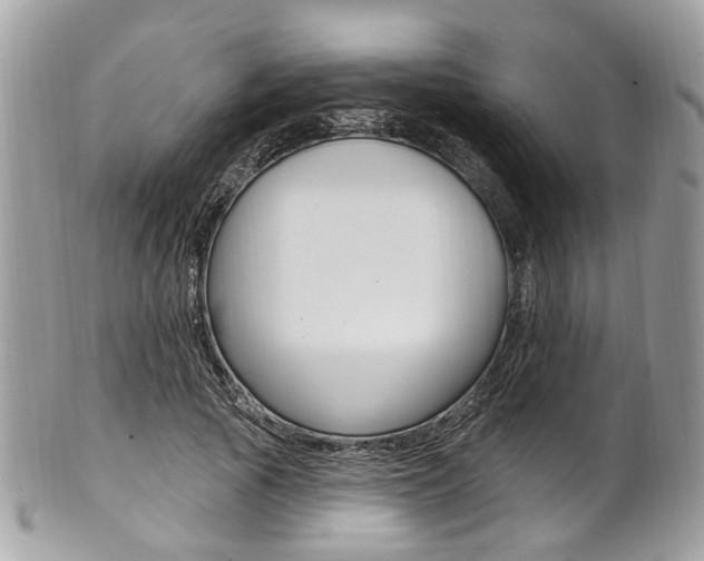 X0000101420737200807071031