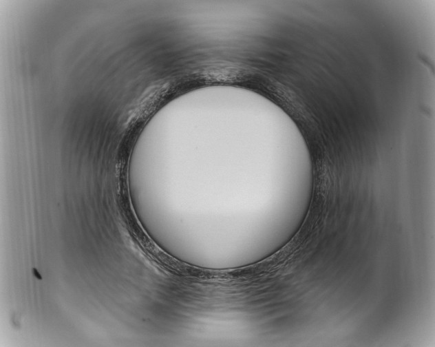 X0000101420738200807071031