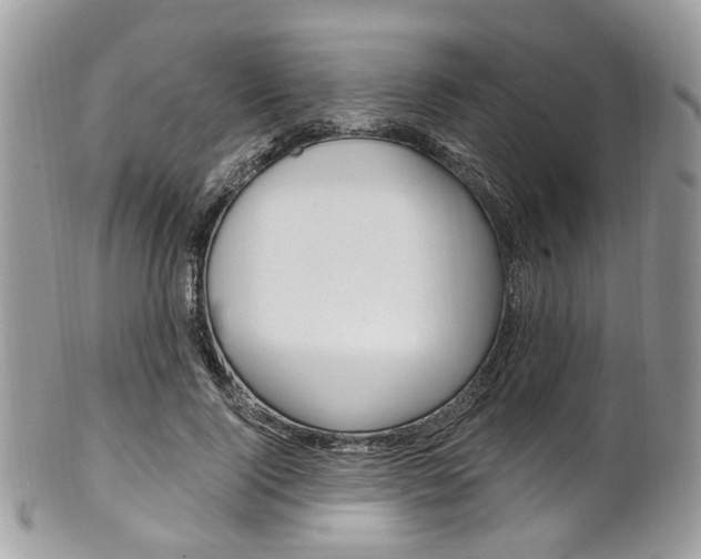 X0000101420740200807071031