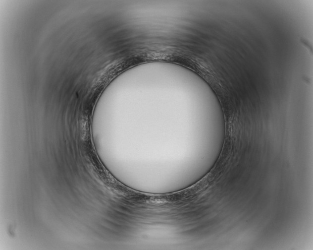 X0000101420741200807071031