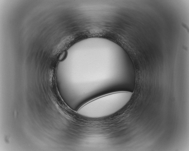 X0000101420742200807071031