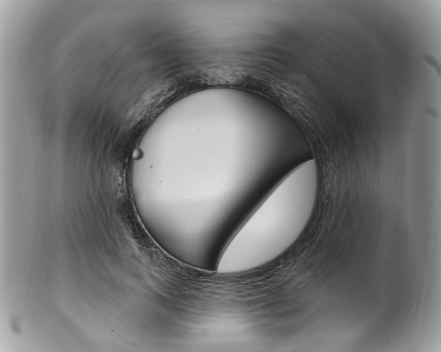 X0000101420743200807071031