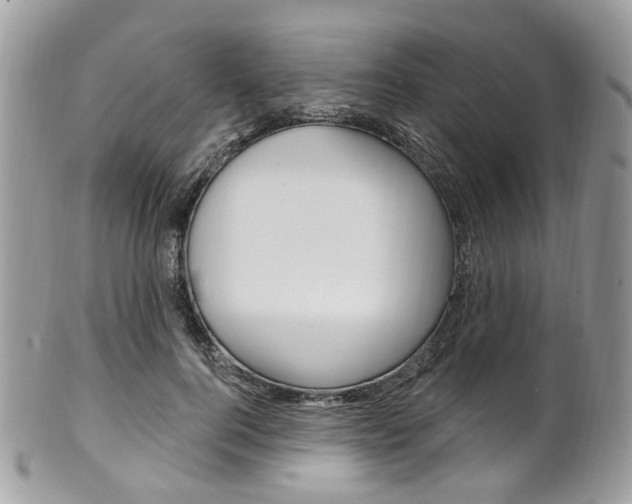 X0000101420744200807071031