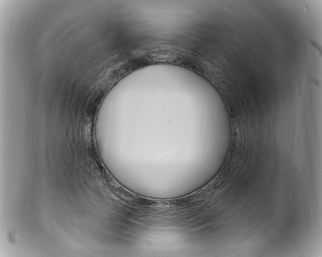 X0000101420745200807071031