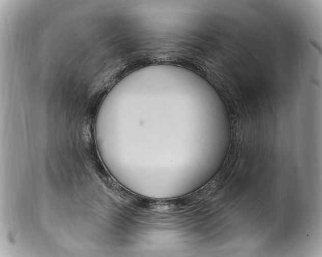 X0000101420746200807071031