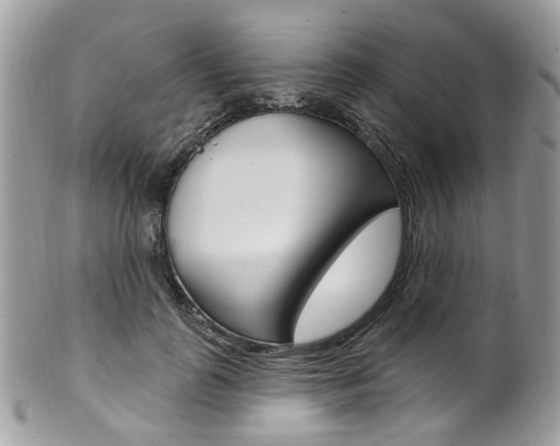 X0000101420747200807071031