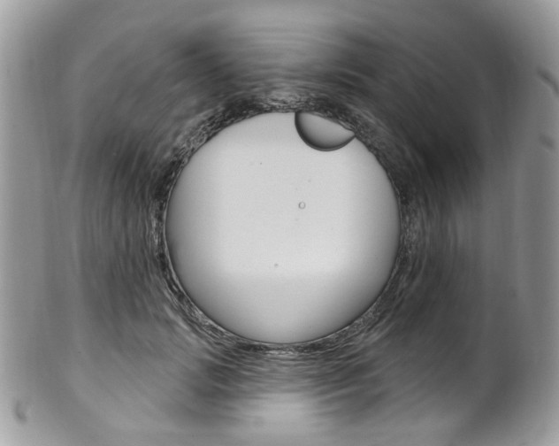 X0000101420749200807071031