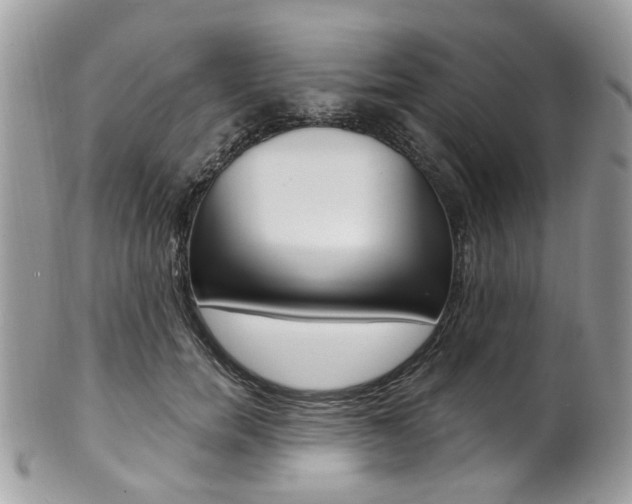 X0000101420750200807071031