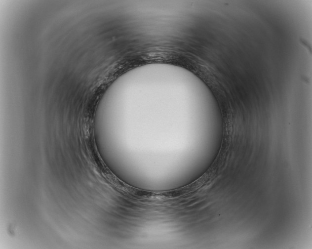 X0000101420751200807071031