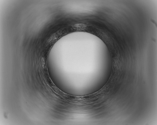 X0000101420752200807071031