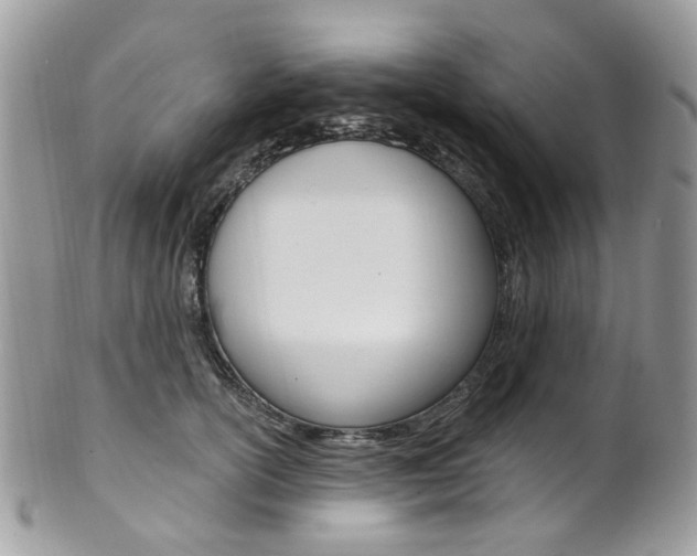 X0000101420754200807071031