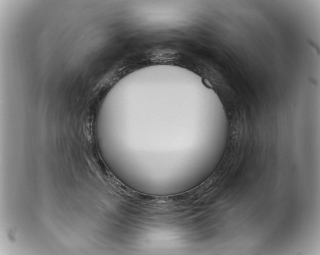 X0000101420755200807071031