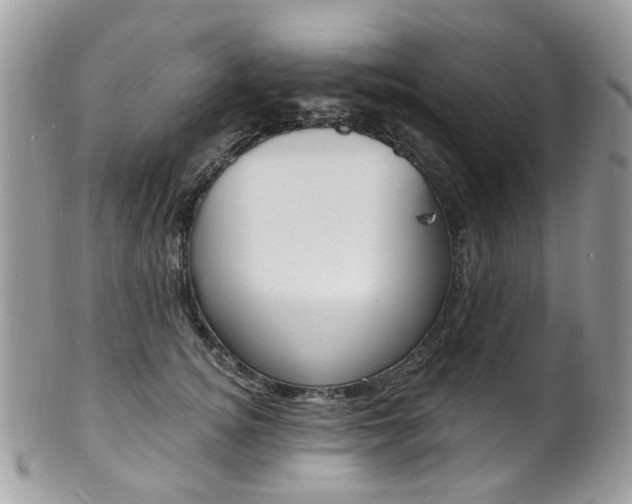 X0000101420756200807071031