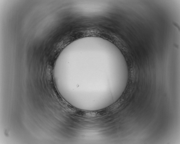 X0000101420757200807071031