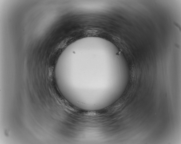 X0000101420759200807071031