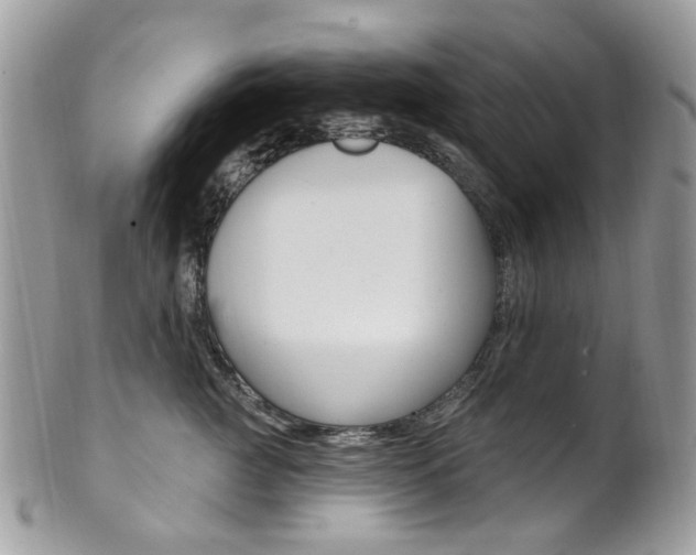 X0000101420761200807071031